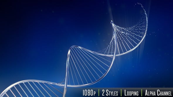 Double Helix DNA Strand Growing - Videohive Download 7244676