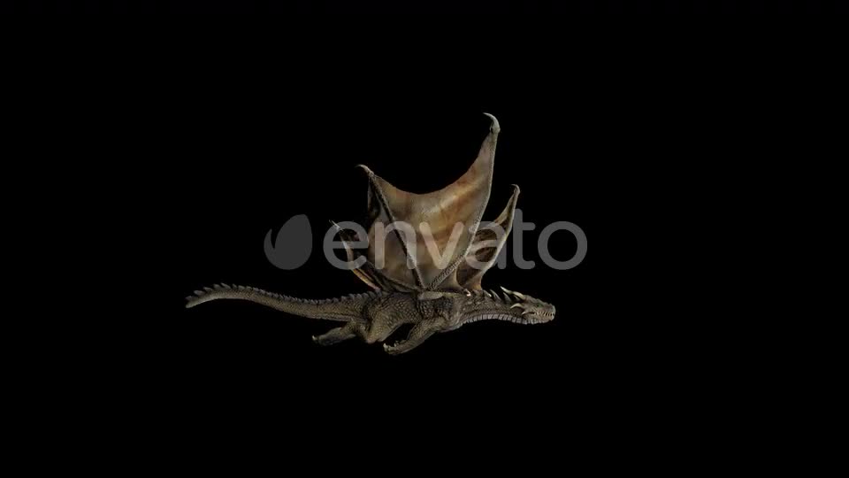 Dragon Flying Videohive 22602704 Motion Graphics Image 1