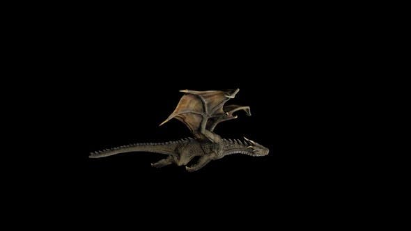 Dragon Flying - Download 22602704 Videohive