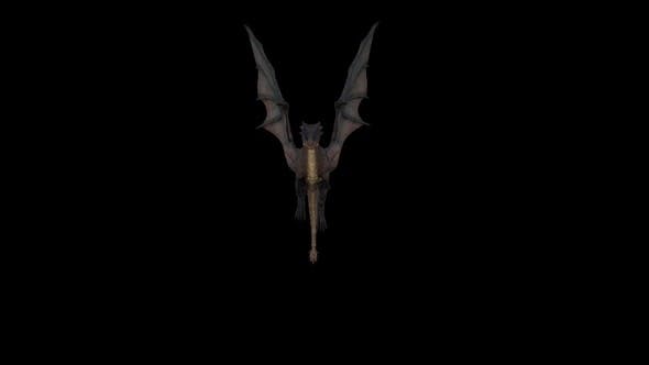 Dragon Flying - Download 23016586 Videohive