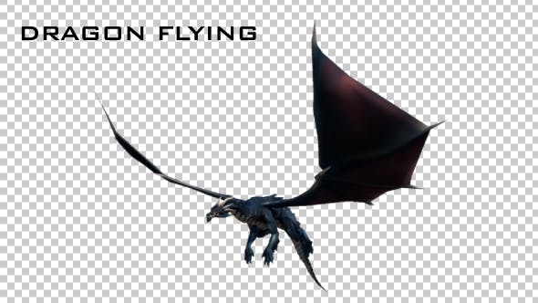 Dragon Flying - Download Videohive 20685323