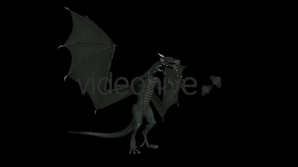 Dragon Pack of 5 Videohive 20226168 Motion Graphics Image 1