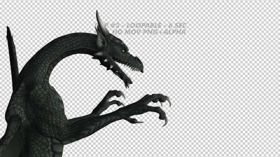 Dragon Pack of 5 Videohive 20226168 Motion Graphics Image 10
