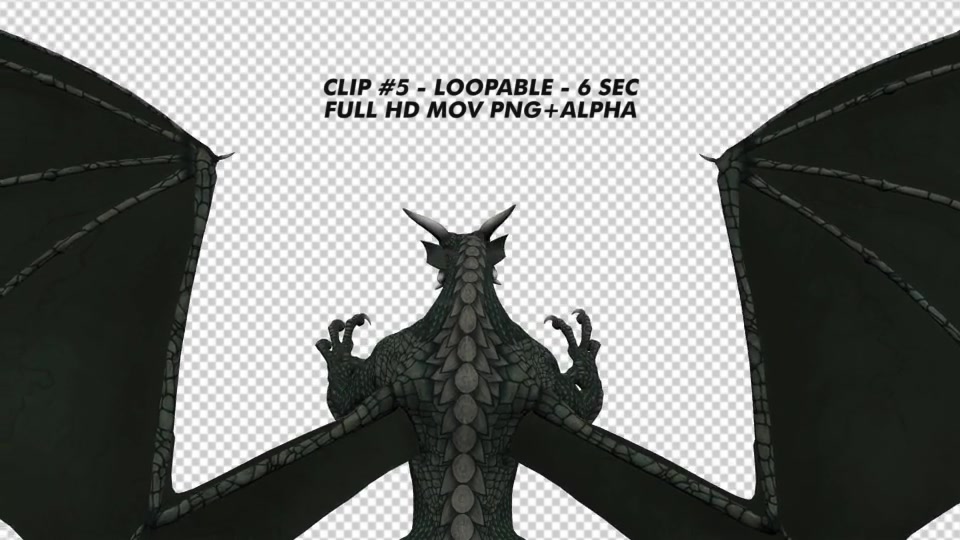 Dragon Pack of 5 Videohive 20226168 Motion Graphics Image 12