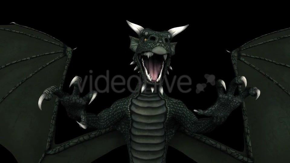 Dragon Pack of 5 Videohive 20226168 Motion Graphics Image 2