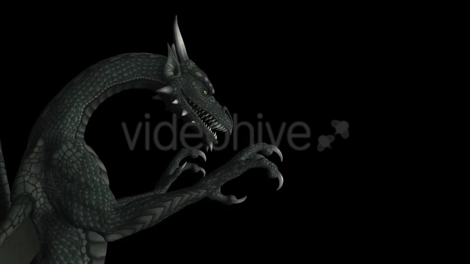 Dragon Pack of 5 Videohive 20226168 Motion Graphics Image 3