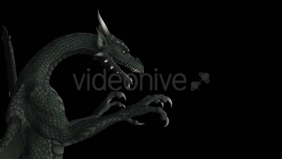 Dragon Pack of 5 Videohive 20226168 Motion Graphics Image 4