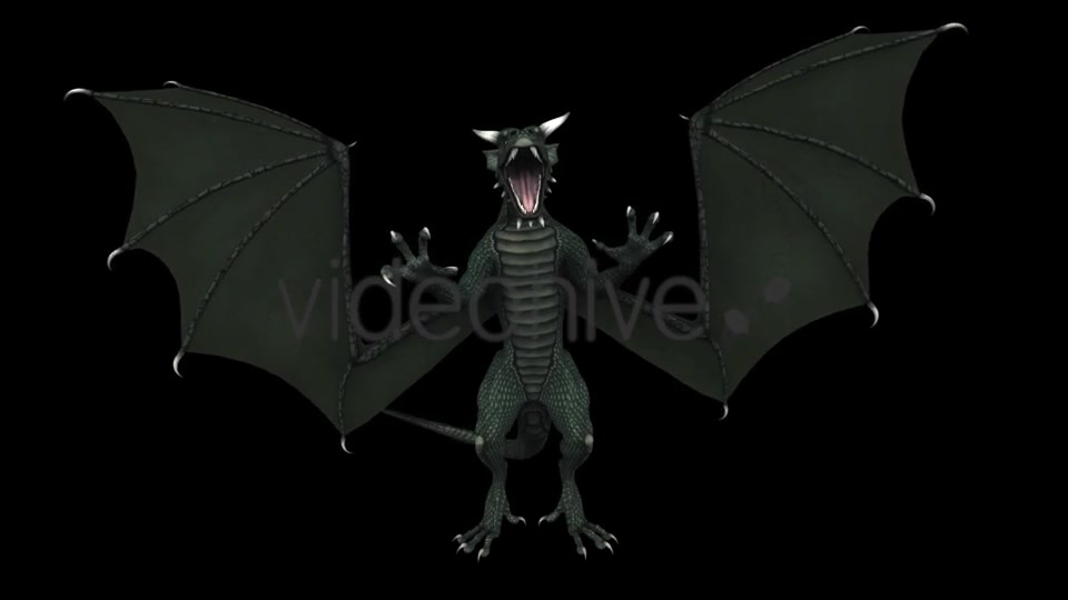 Dragon Pack of 5 Videohive 20226168 Motion Graphics Image 5
