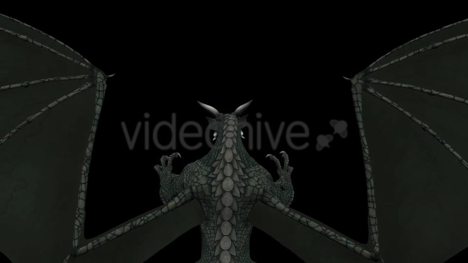 Dragon Pack of 5 Videohive 20226168 Motion Graphics Image 6