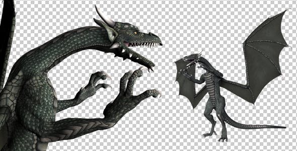 Dragon Pack of 5 - Download Videohive 20226168