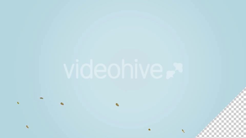 Dry Leaf Falling Videohive 20583331 Motion Graphics Image 6