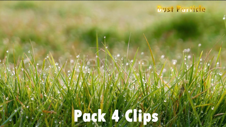 Dust in Motion Videohive 20583916 Motion Graphics Image 7