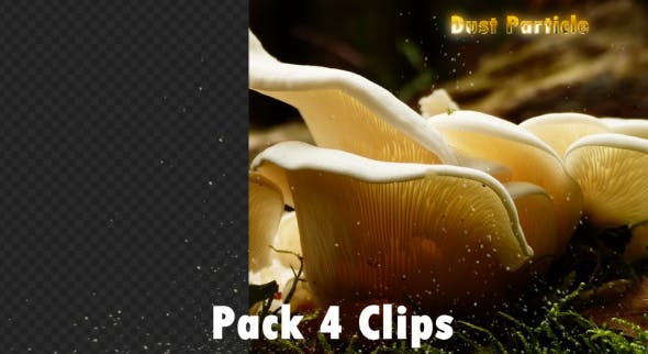 Dust in Motion - 20583916 Download Videohive