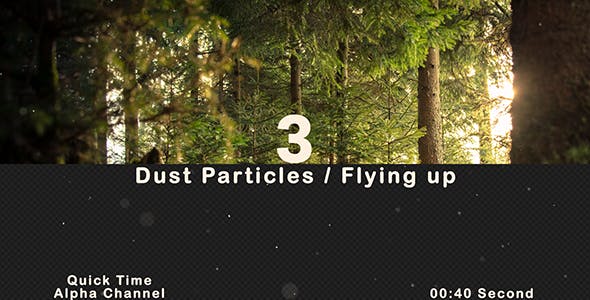 Dust Particles Flying Up - 21031388 Videohive Download