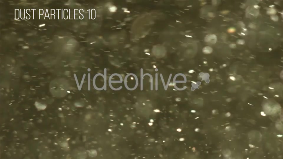 Dust Particles Videohive 12504051 Motion Graphics Image 11