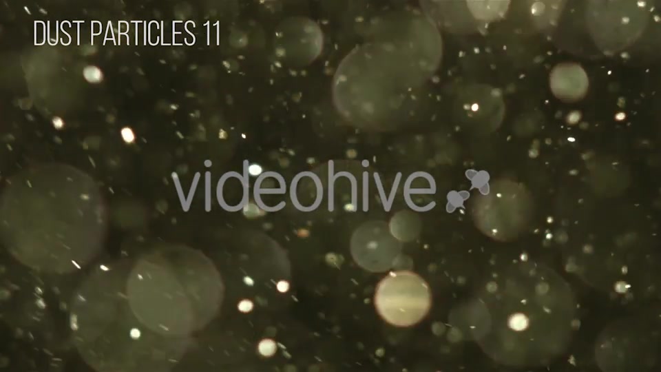 Dust Particles Videohive 12504051 Motion Graphics Image 12