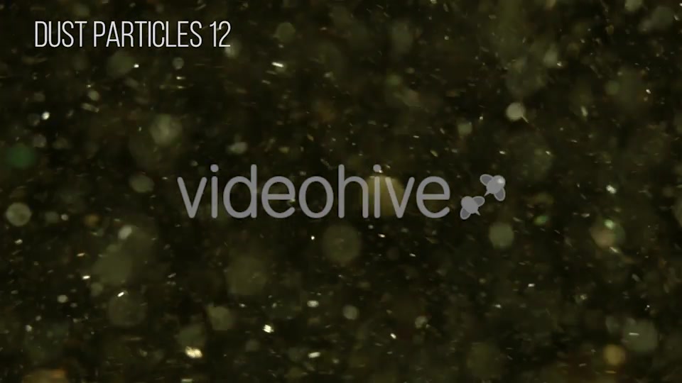 Dust Particles Videohive 12504051 Motion Graphics Image 13