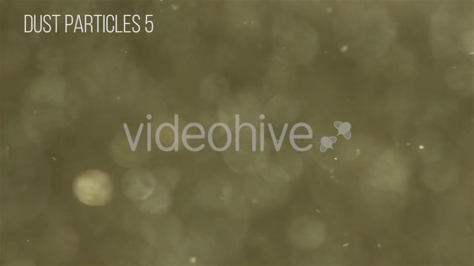 Dust Particles Videohive 12504051 Motion Graphics Image 7