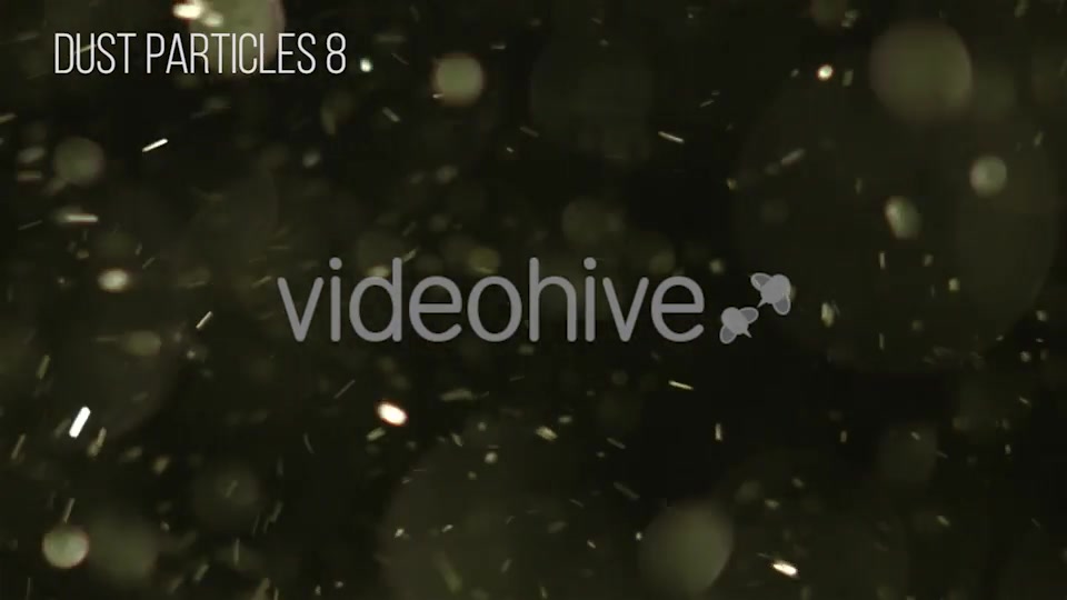 Dust Particles Videohive 12504051 Motion Graphics Image 9