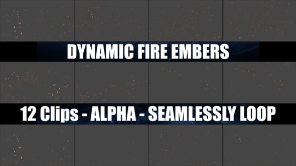 Dynamic Fire Embers - Videohive Download 22575008