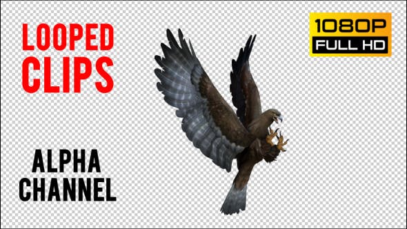 Eagle 3 Realistic Pack 3 - 21076545 Videohive Download