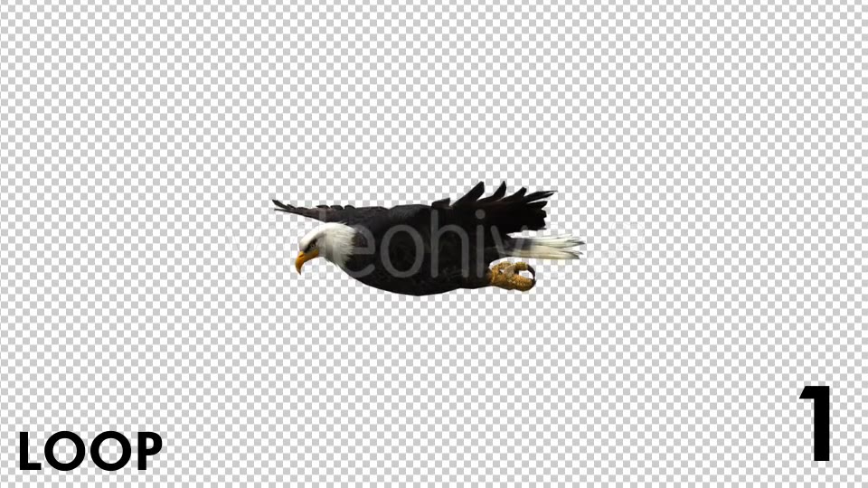 Eagle 3 View Scene Pack Videohive 18305927 Motion Graphics Image 3