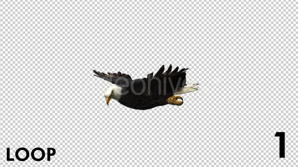 Eagle 3 View Scene Pack Videohive 18305927 Motion Graphics Image 4