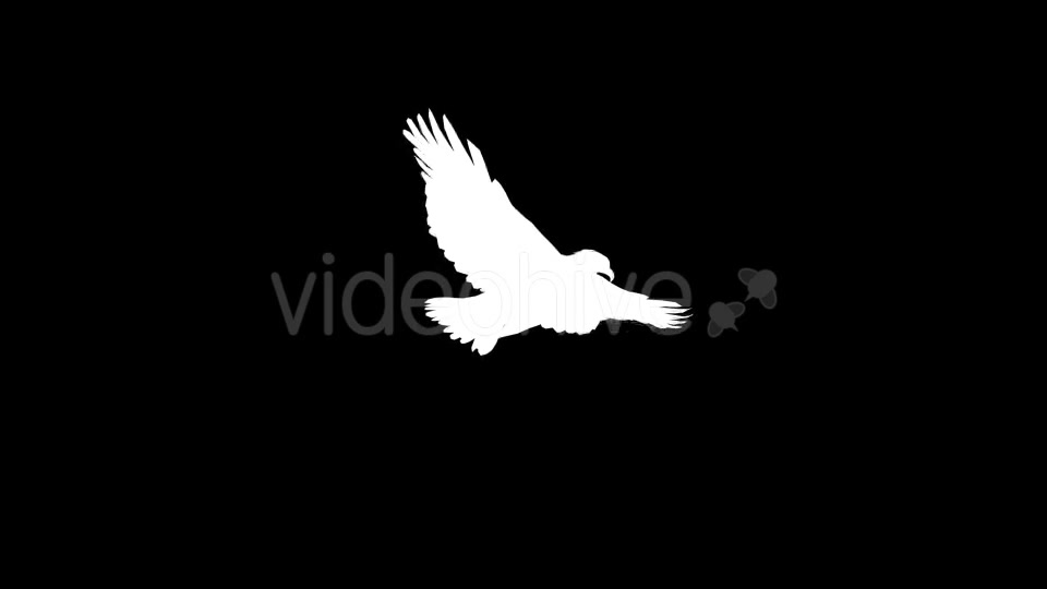 Eagle Silhouettes 13 Pack Videohive 21219889 Motion Graphics Image 10