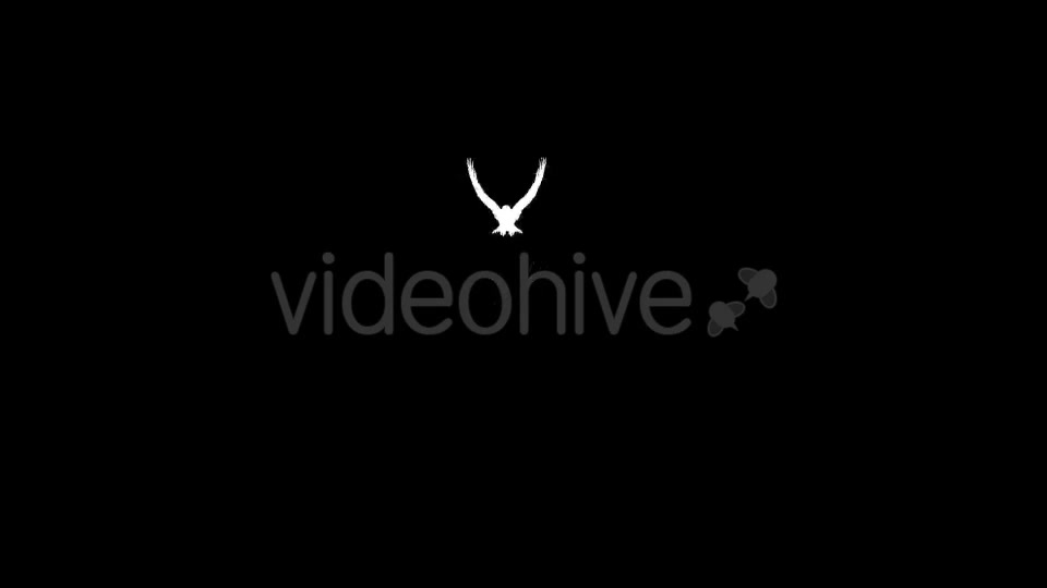 Eagle Silhouettes 13 Pack Videohive 21219889 Motion Graphics Image 9