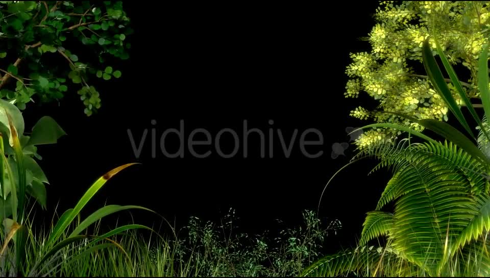 Edge of Forest Videohive 19779403 Motion Graphics Image 1