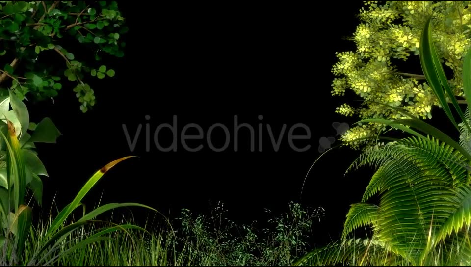 Edge of Forest Videohive 19779403 Motion Graphics Image 2