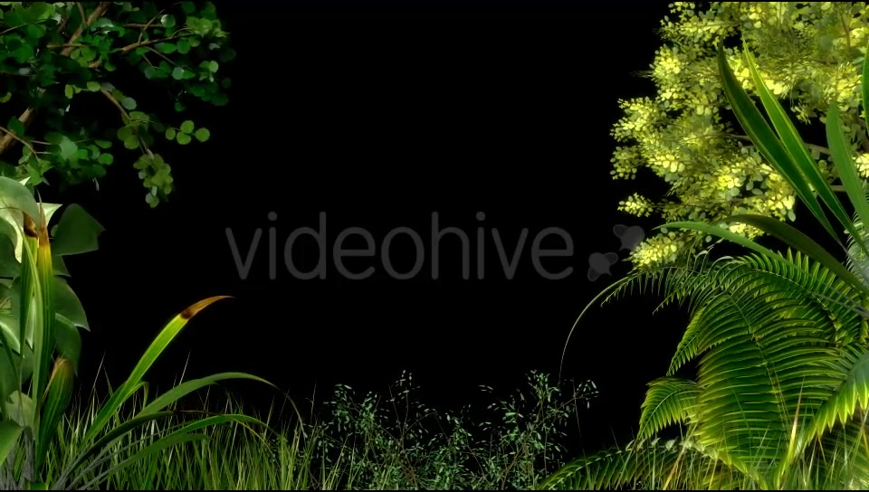 Edge of Forest Videohive 19779403 Motion Graphics Image 3