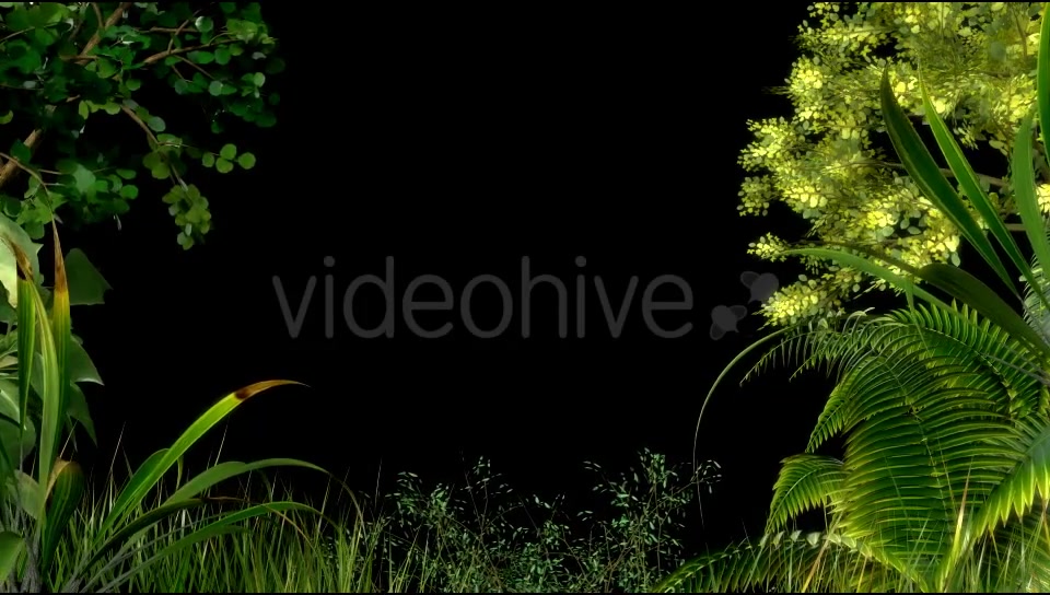 Edge of Forest Videohive 19779403 Motion Graphics Image 4