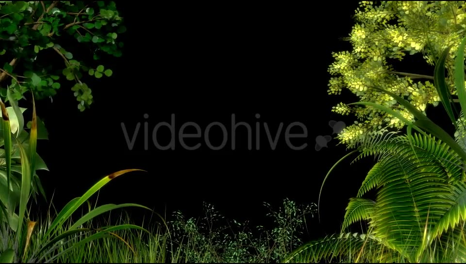 Edge of Forest Videohive 19779403 Motion Graphics Image 5