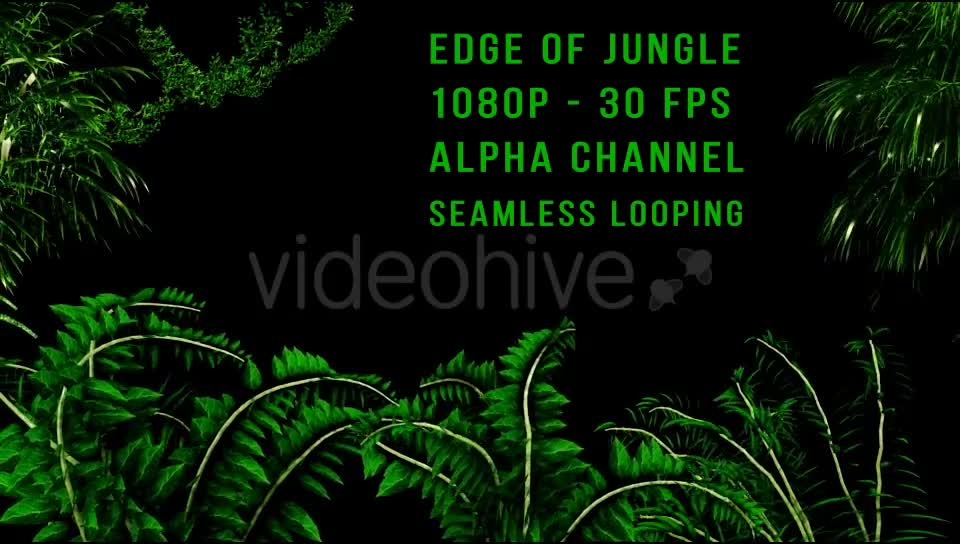 Edge of Jungle Videohive 16343935 Motion Graphics Image 1