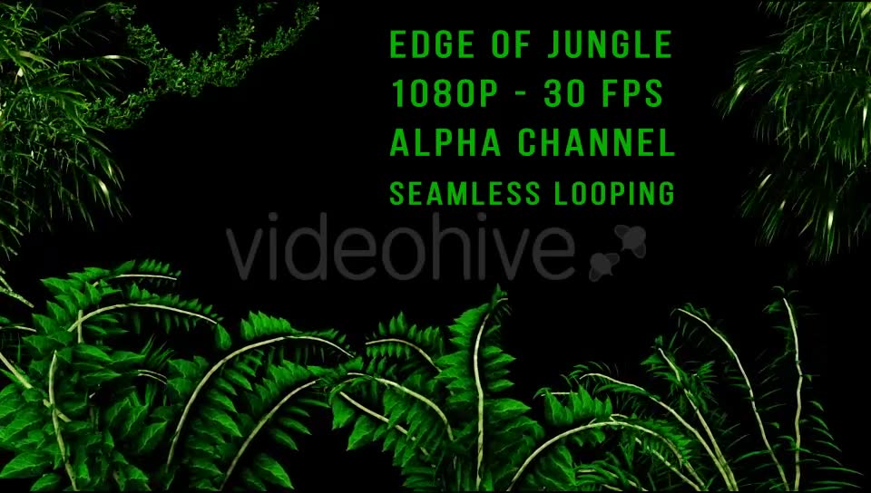 Edge of Jungle Videohive 16343935 Motion Graphics Image 2