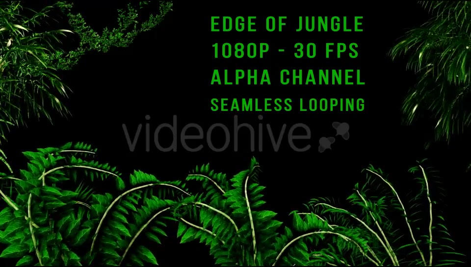 Edge of Jungle Videohive 16343935 Motion Graphics Image 5