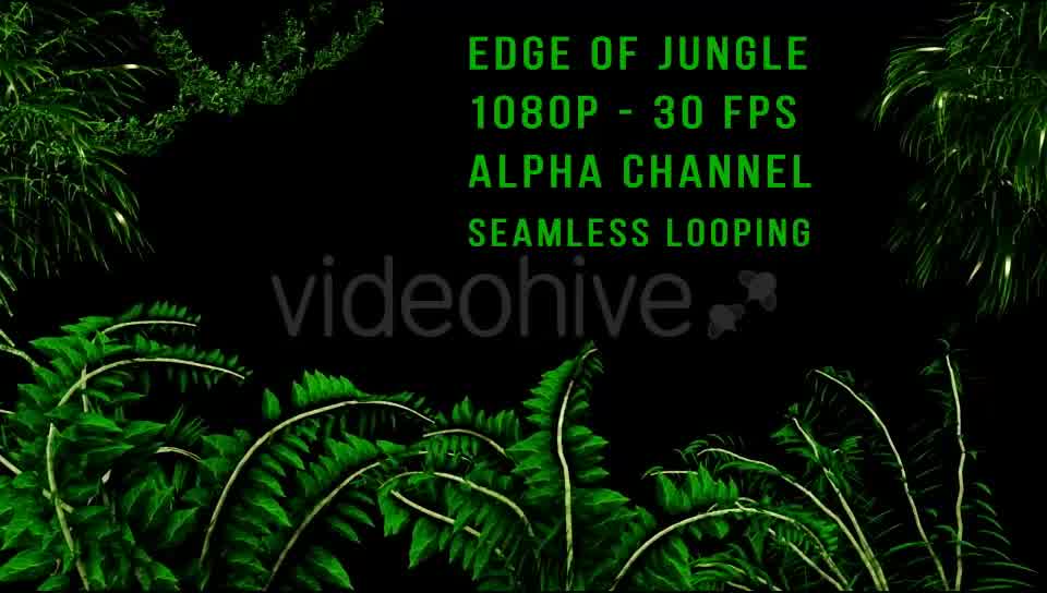 Edge of Jungle Videohive 16343935 Motion Graphics Image 9