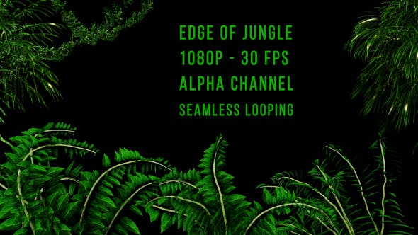 Edge of Jungle - Videohive Download 16343935