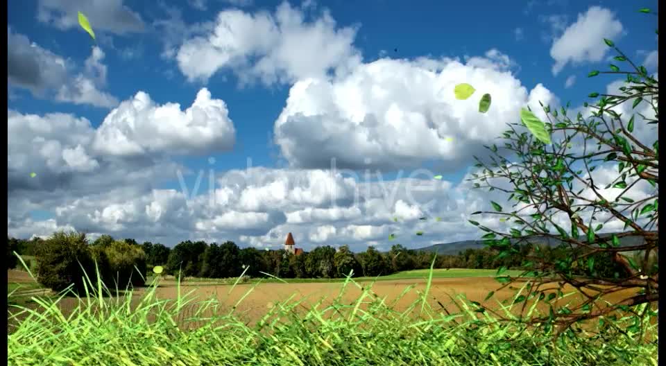 Edge of Nature Videohive 16035318 Motion Graphics Image 1