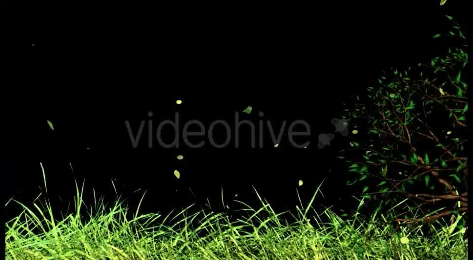 Edge of Nature Videohive 16035318 Motion Graphics Image 10