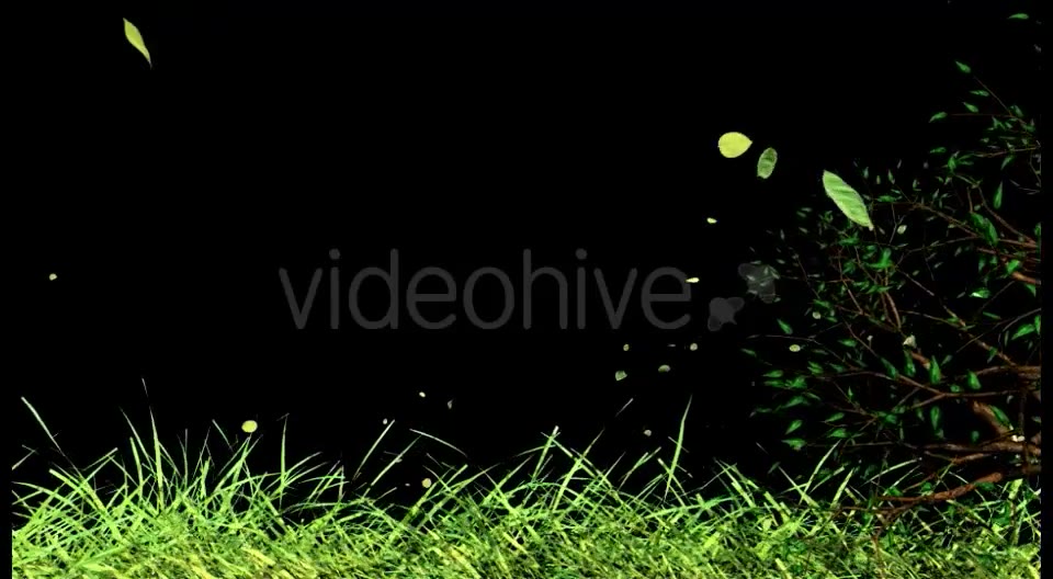 Edge of Nature Videohive 16035318 Motion Graphics Image 6