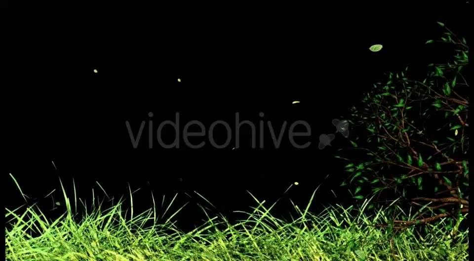 Edge of Nature Videohive 16035318 Motion Graphics Image 7