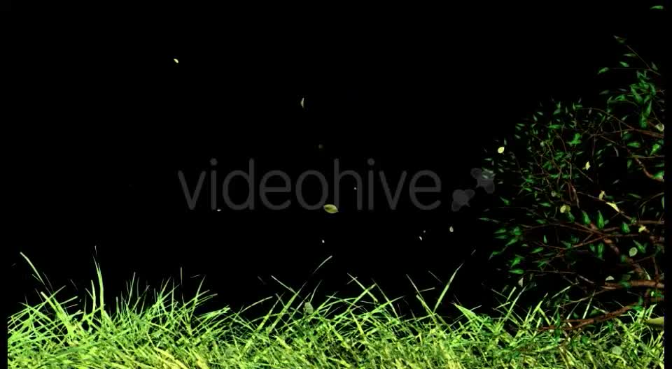 Edge of Nature Videohive 16035318 Motion Graphics Image 8