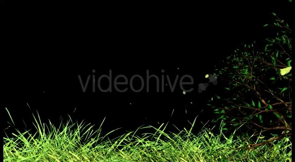 Edge of Nature Videohive 16035318 Motion Graphics Image 9