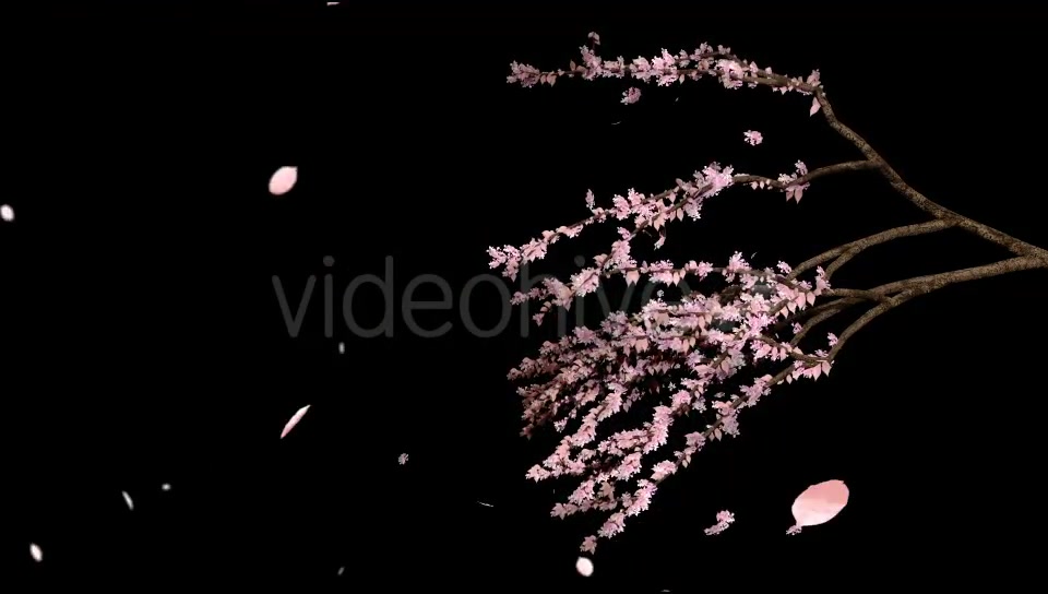 Edge of Seasons Videohive 17526497 Motion Graphics Image 7