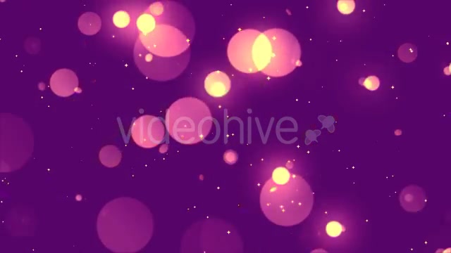 Elegant Circles 3 Videohive 20477228 Motion Graphics Image 8