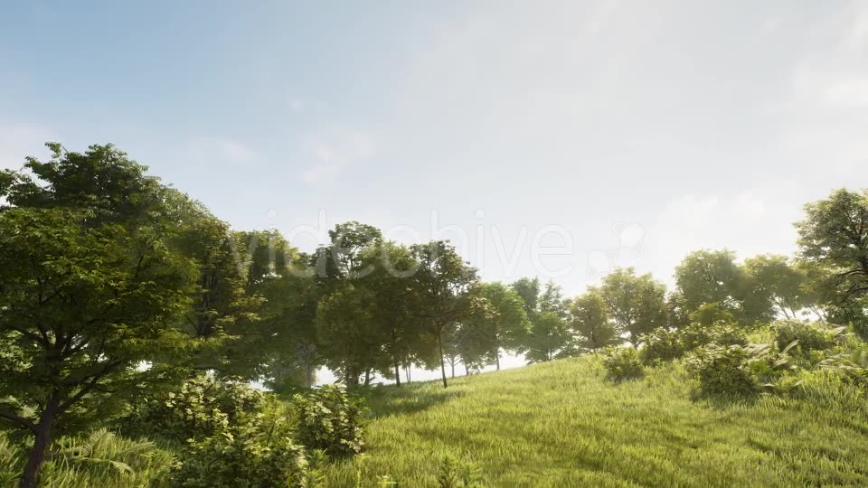 Elegant Forest Videohive 19288596 Motion Graphics Image 2