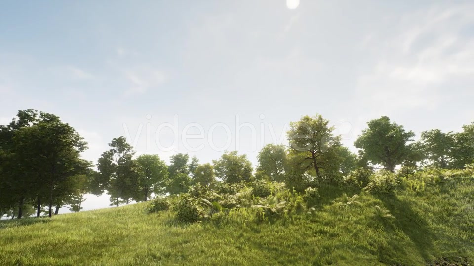 Elegant Forest Videohive 19288596 Motion Graphics Image 4