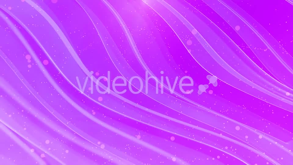 Elegant Pink Background Videohive 19848444 Motion Graphics Image 11